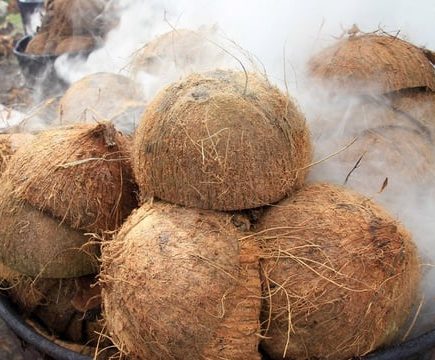 batok kelapa menyehatkan