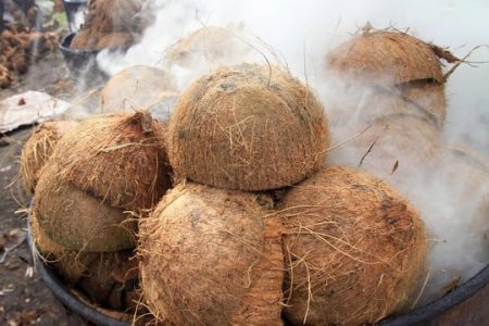 batok kelapa menyehatkan