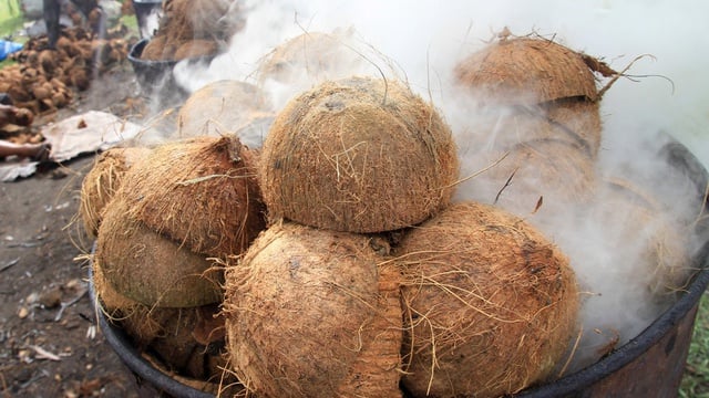 batok kelapa menyehatkan